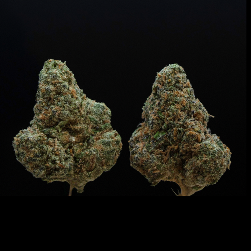 Bubble Bath THCA Flower