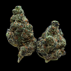 Euphoria THCA Flower