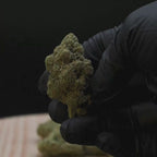 Legend OG THCA Flower