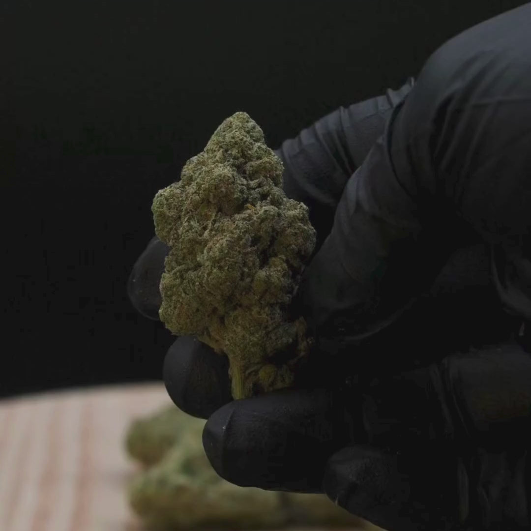 Legend OG THCA Flower