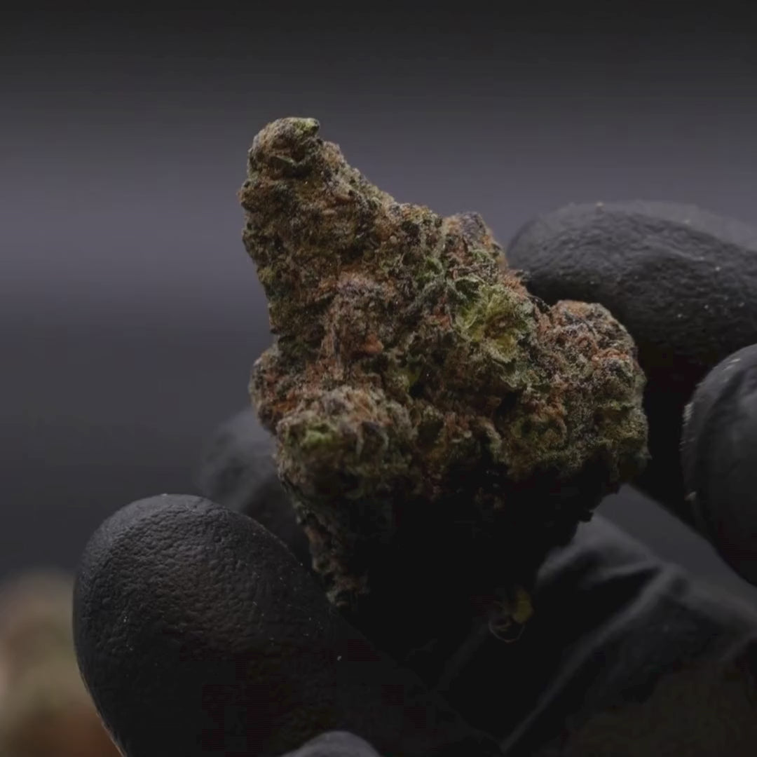 Lemon Cherry Gelato THCA Flower