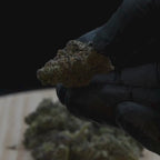 Euphoria THCA Flower